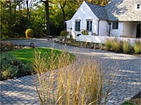 Lawn Maintenance