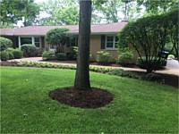 Landscaping