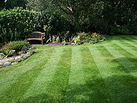 Lawn Maintenance